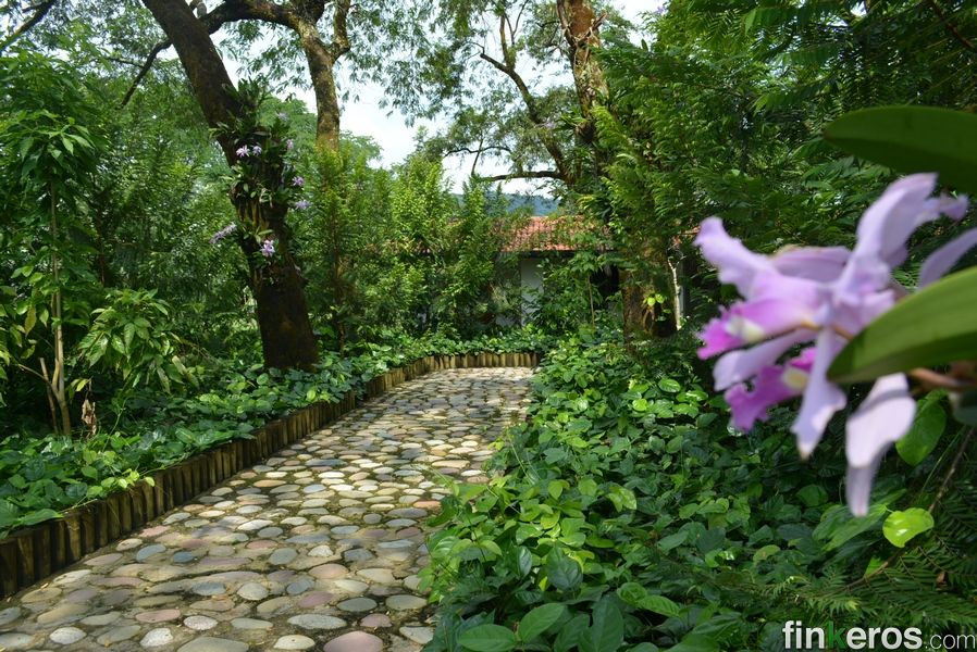 Finca Paratebueno Australiana - Finca en Paratebueno, Cundinamarca